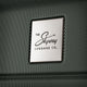 variant:43072297107501 Skyway Epic 2.0 Hardside Carry-On Spinner Luggage - Thyme