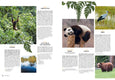 Wanderlust - A Traveler's Guide to the Globe
