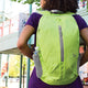 variant:41193706749997 travelon Packable Backpack - lime