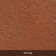 variant:41192530313261 osgoode marley Charles Crossbody - Brandy