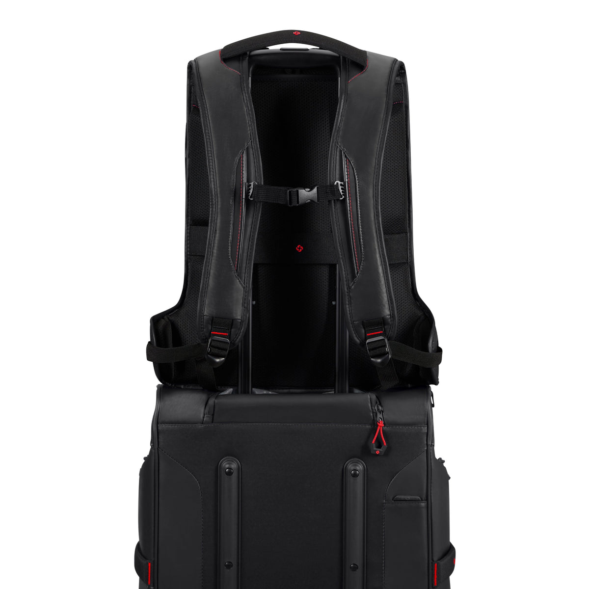 variant:42129298784301 Samsonite Ecodiver Large Backpack - Black