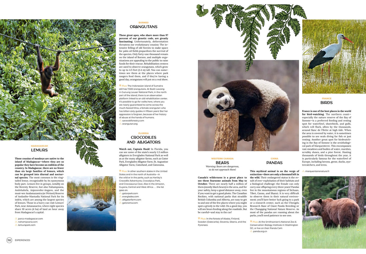 Wanderlust - A Traveler's Guide to the Globe