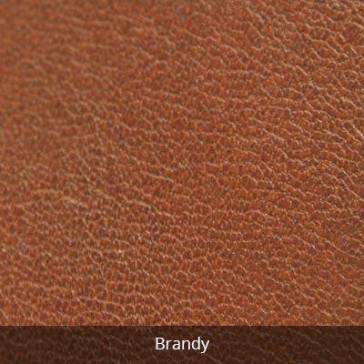variant:41192530313261 osgoode marley Charles Crossbody - Brandy